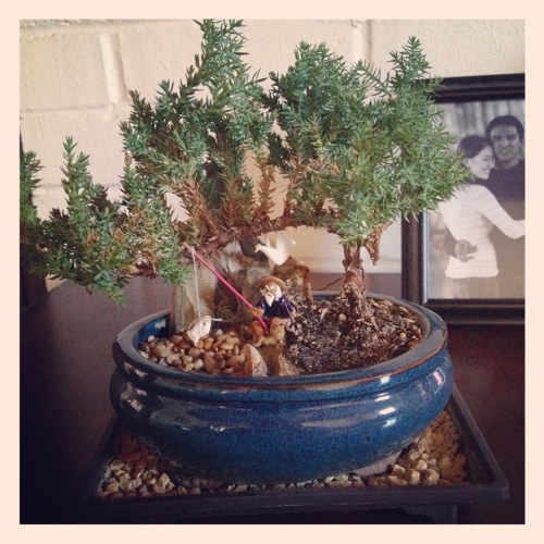 IMG_0291.JPG IMG 0291