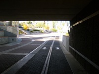 UA Bike Path