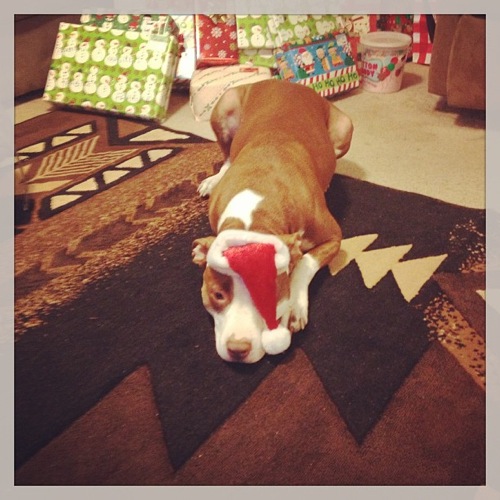 0faf4758507c11e2bbed22000a9e28b0 7